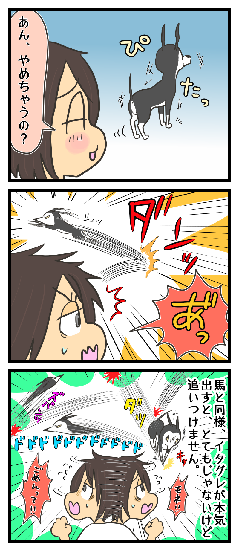 モネが可愛くてつい追いかけちゃう 独女の流儀
