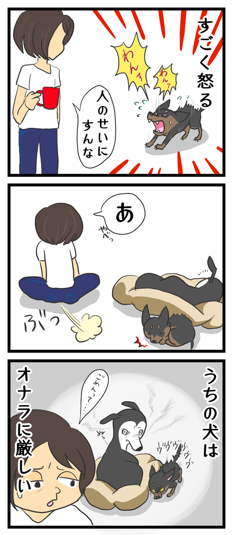 A23CAD3D-0F64-4F9F-A8D7-0D6FD873891D