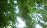 20110527kan