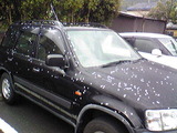 honda-crv3
