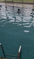 IMG_8105