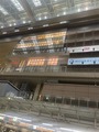 IMG_8020