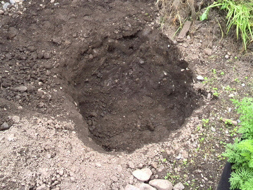 かくやるおにわ 堆肥作り