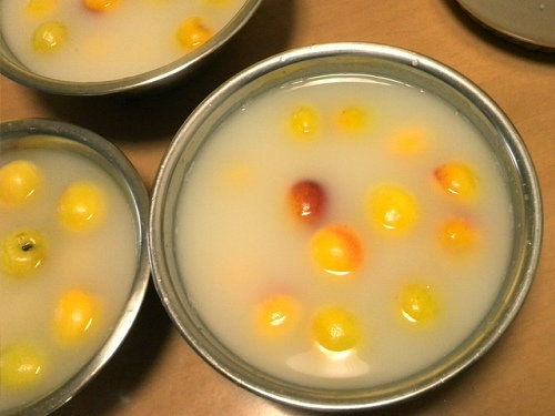 梅干し 14 かくやるおにわ 梅干し 14 かくやるおにわ
