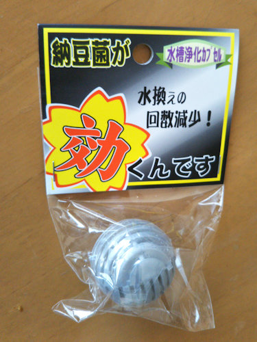 準備の段階は最高に楽しい 実行の段階は最高に幸せ かくやるおにわ 準備の段階は最高に楽しい 実行の段階は最高に幸せ かくやるおにわ