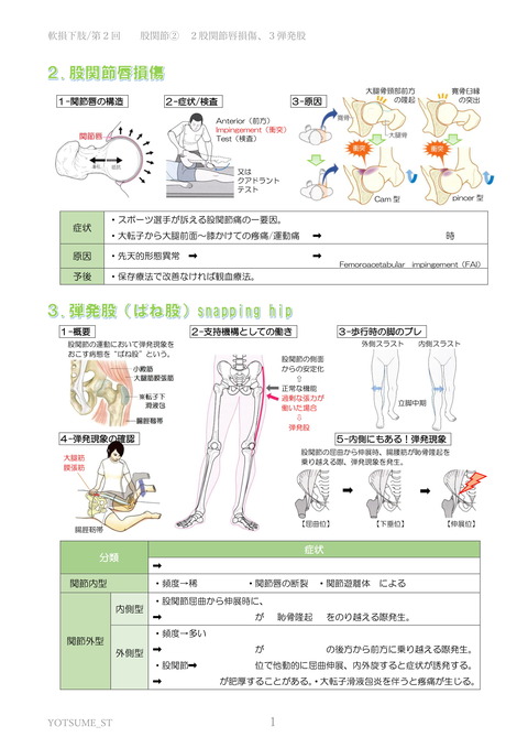2股関節②-2股関節唇損傷、3弾発股-1