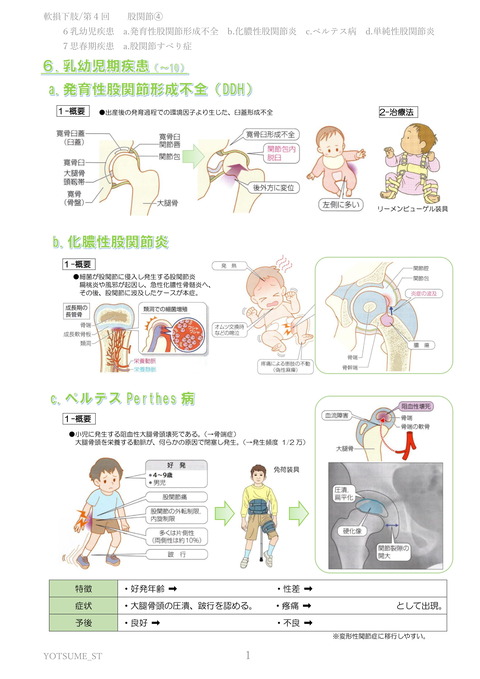 4股関節➃-乳幼児期疾患、思春期疾患-1