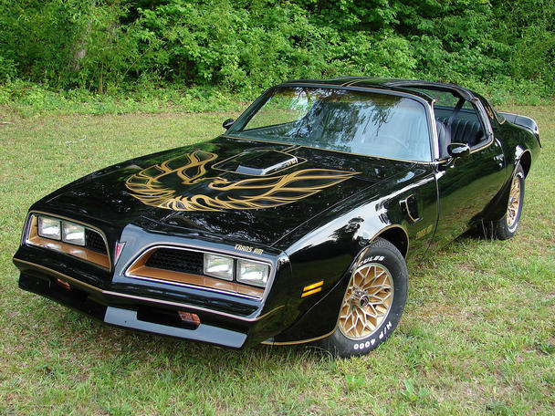 ｔｒａｎｓ ａｍ My Life