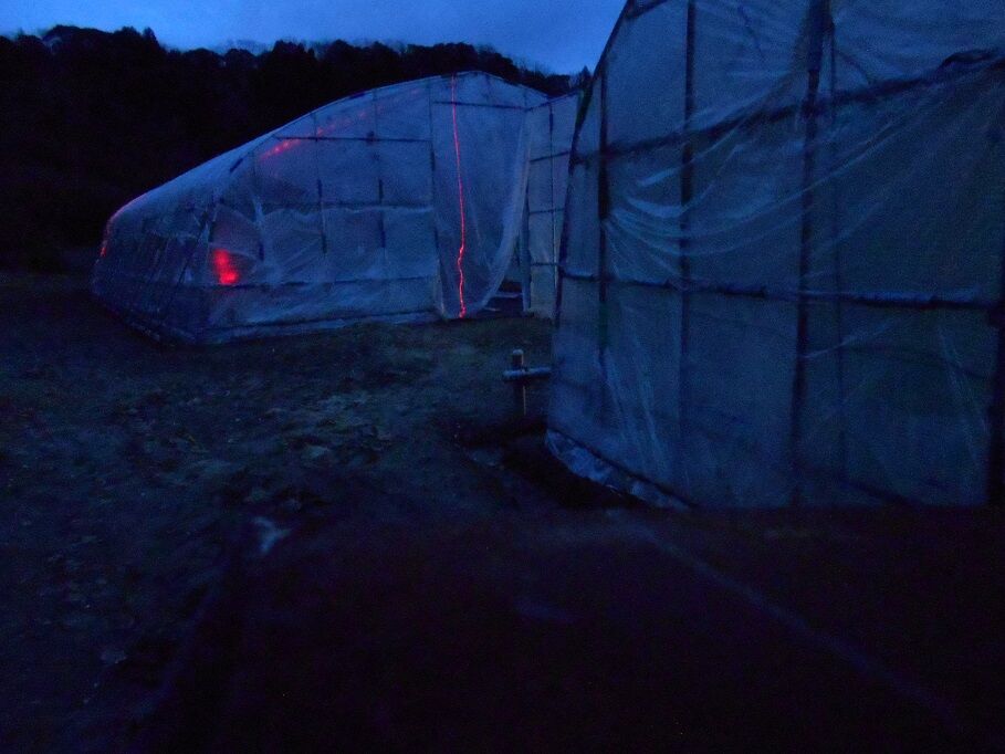 ハウスの中で 赤い光が よつは らいたのひとり言3 ハウスの中で 赤い光が よつは らいたのひとり言3