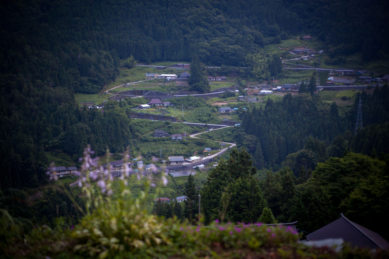 ヘンリー ソロー生誕0年前夜祭 四ツ國日記