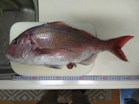 IMG_0001_BURST0010005