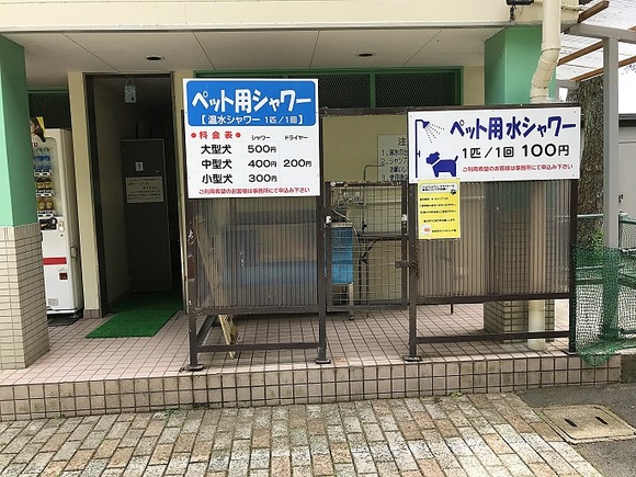 2018061810