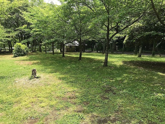 2018061245