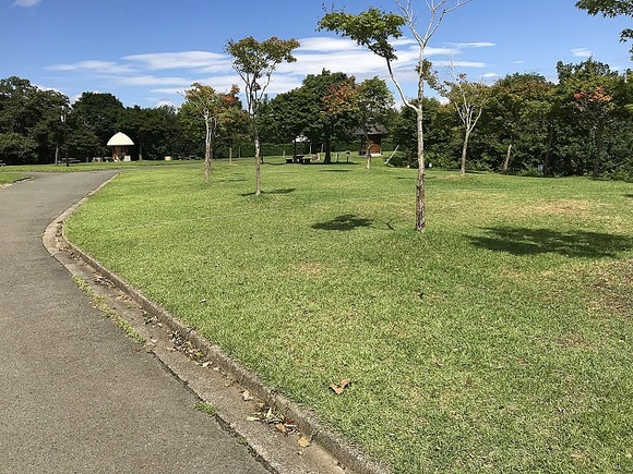 2018082842