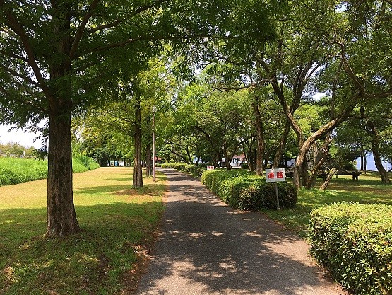 2016082333