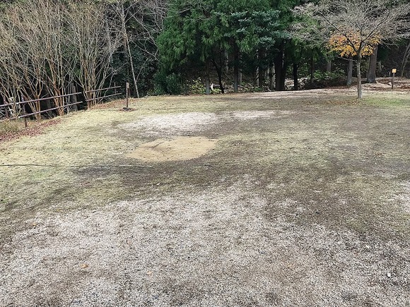 2018120904 (1)