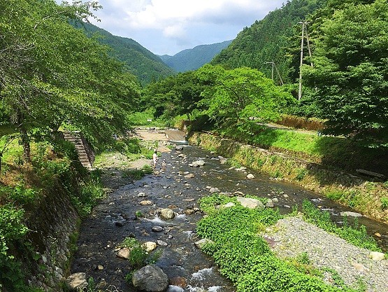 2016070444