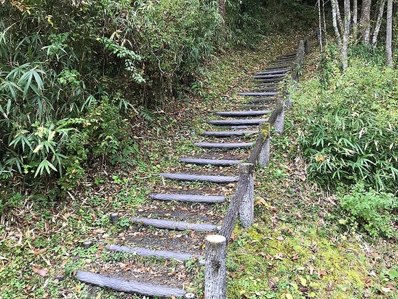 2018111106 (1)