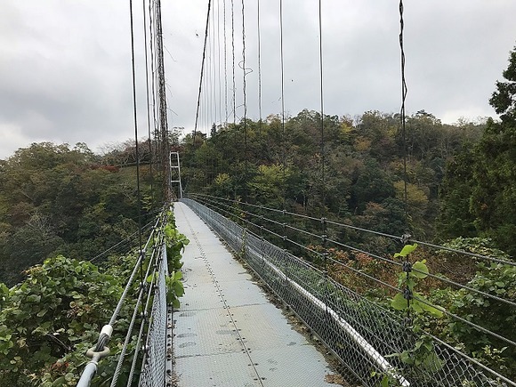 2018111105 (11)
