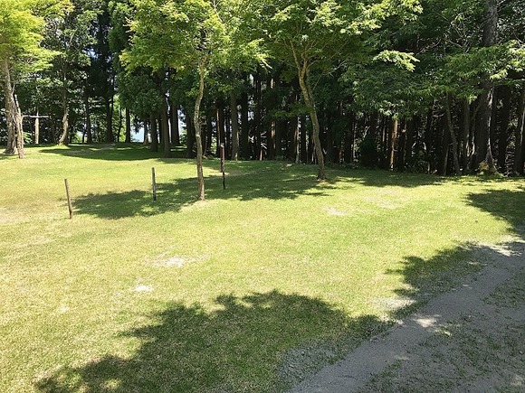 2017062527