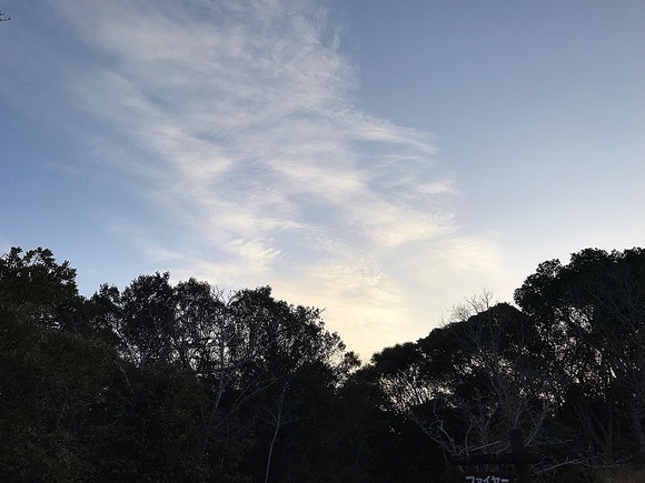 2018030102