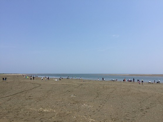 三重で潮干狩りが出来るキャンプ場 料金が一切かからないのでおすすめ kutikomi 三重で潮干狩りが出来るキャンプ場 料金が一切かからないのでおすすめ kutikomi