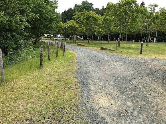 2017062574