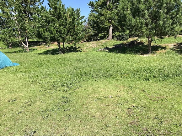 三重県の浜風公園キャンプ場は無料で利用できるキャンプ場 全てをブログで詳しく紹介 kutikomi 三重県の浜風公園キャンプ場は無料で利用できるキャンプ場 全てをブログで詳しく紹介 kutikomi