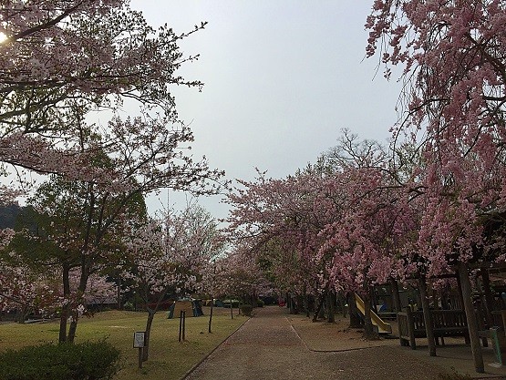 2016042108