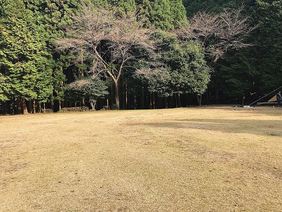 2018120902 (3)