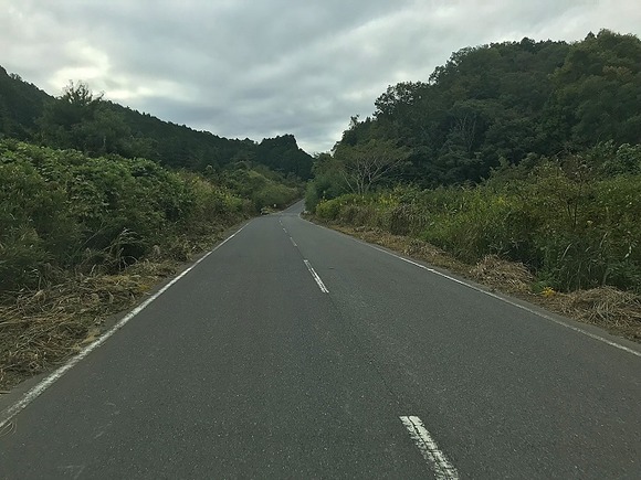 2018103101 (1)