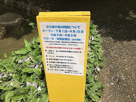 2018070906