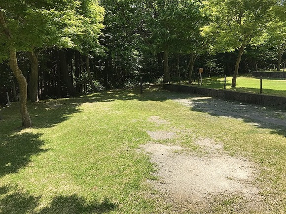 2017062526