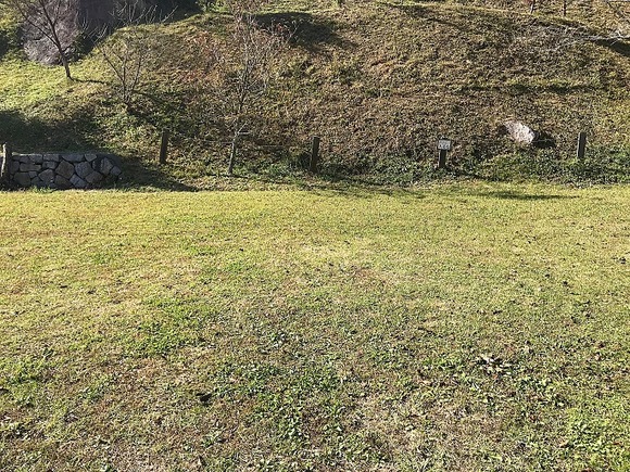 2018111102 (8)