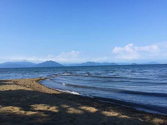 2016082216