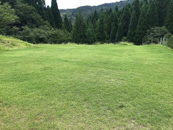 2018082806