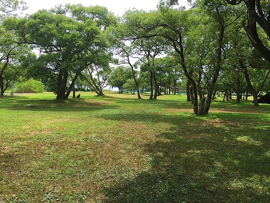 2016082331