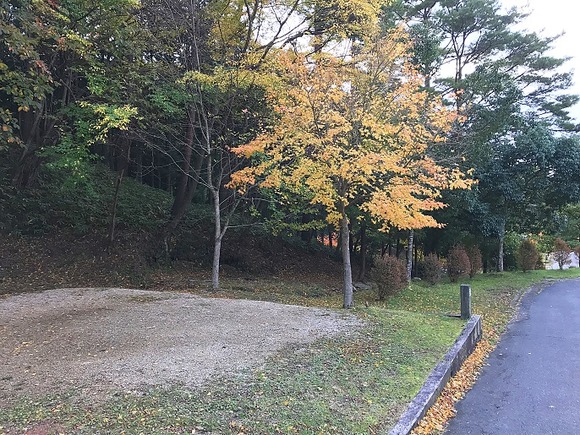 2017111458