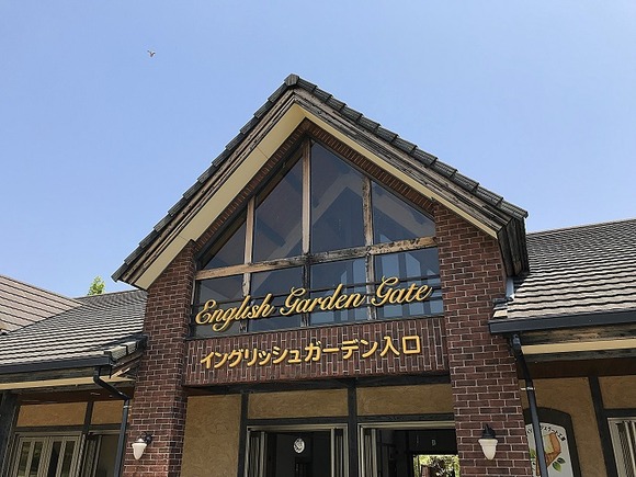 2018050929