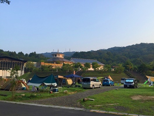 d8bd2386.jpg
