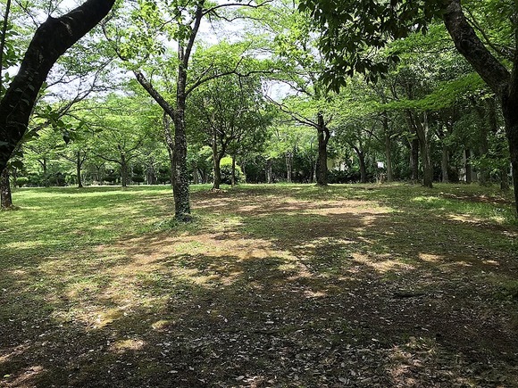 2018061241