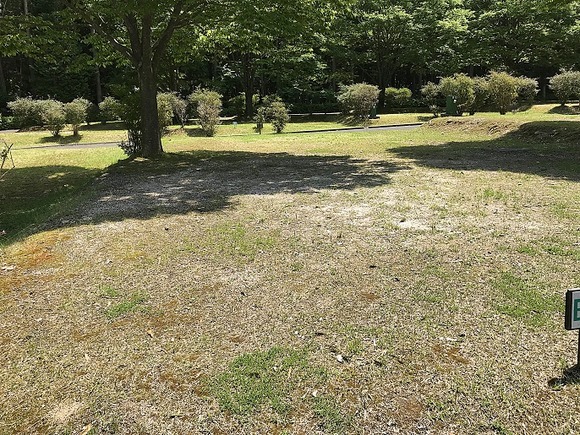 2018060843