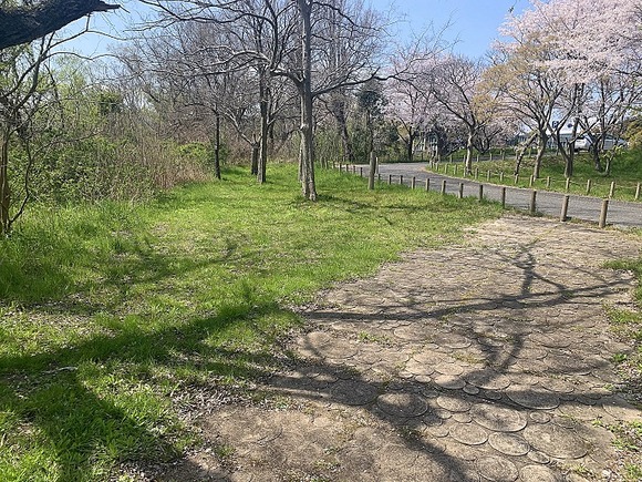 2020050103 (6)