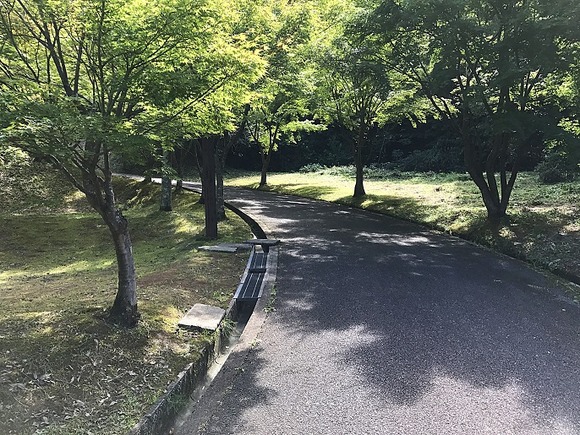 2017091618