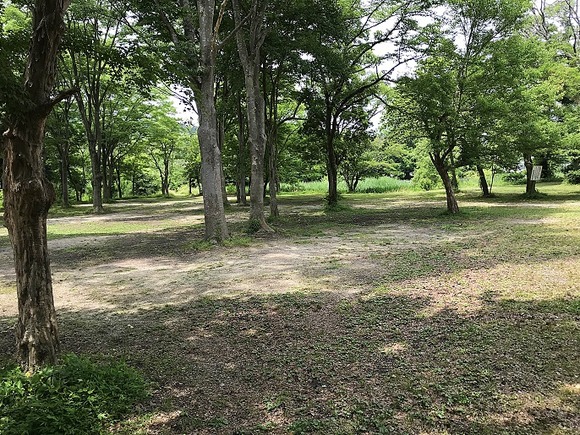 2018061246