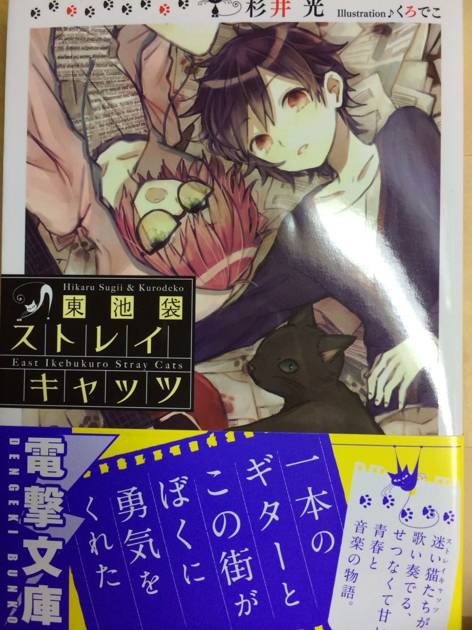音楽もの 本達は荒野に眠る 音楽もの 本達は荒野に眠る
