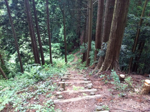 画像10