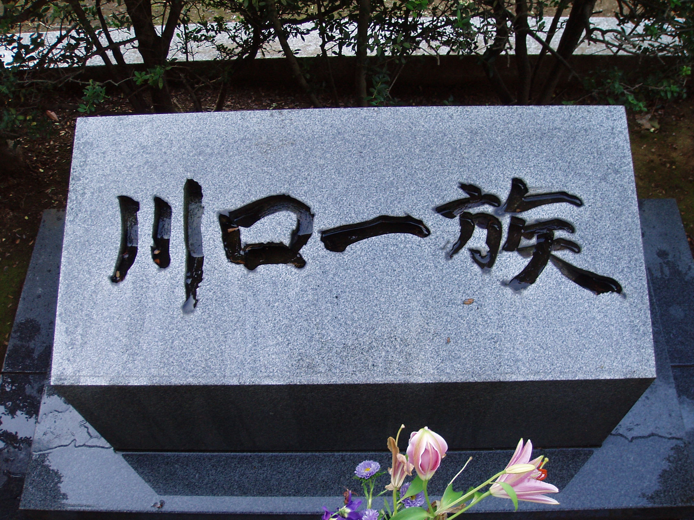 石川弘 探検隊シリーズ ゼットンの憂鬱