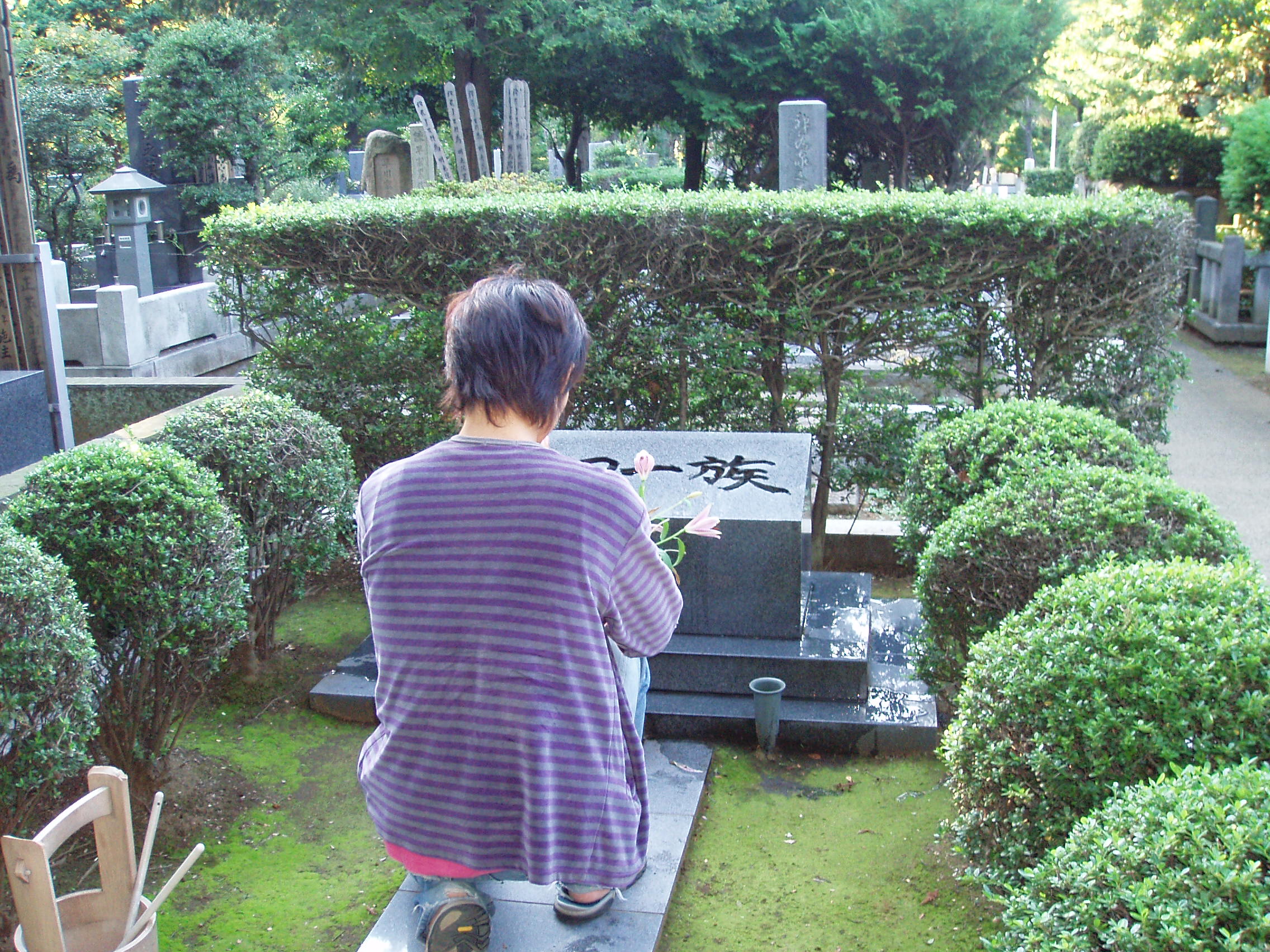 石川弘 探検隊シリーズ ゼットンの憂鬱