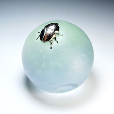 2310-03_shibasaki_01